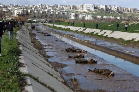 No name of an Armenian among Aleppo crime's  victims list  