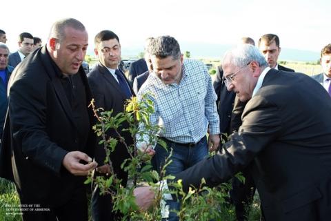 Government approved program of assistance to hail-affected villagers