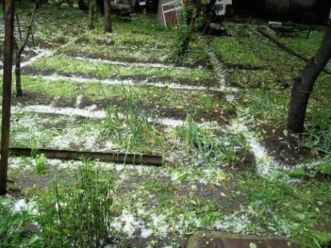 Hail damages in Republic made 20-25 billion AMD
