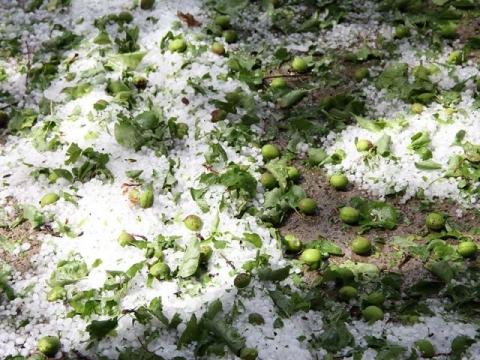 Syunik’s Agarak town and neighboring villages suffered from severe hail
