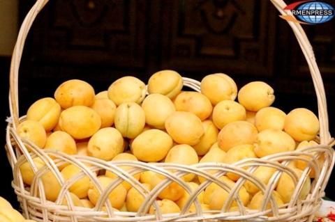In week period export volumes of apricots from Armenia exceeded indicators of 2012