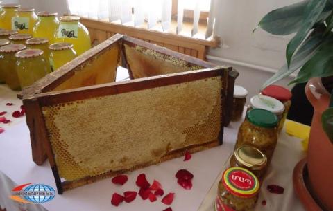 “Honey and berries festival of Shamshadin” can host up to 10 000 visitors 