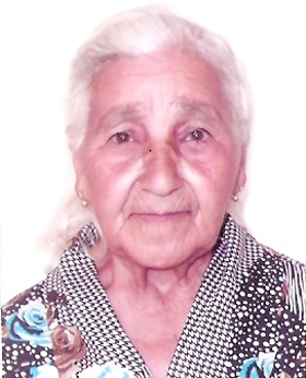 Մրգավետ գյուղի հիշողության կորստով տառապող մեծահասակ բնակչուհին տնից դուրս է եկել և չի վերադարձել