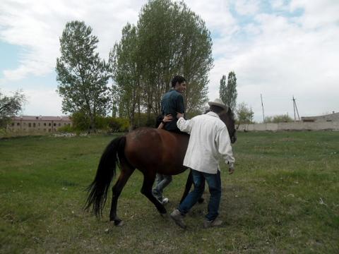 В специализированном детском доме Харберда лечат упражениями по верховой езде