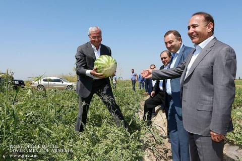 Government to provide $ 100 million to farmers for building greenhouses