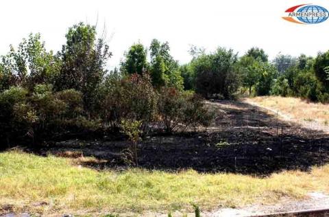 Բուսաբանական այգում խոտածածկ տարածք է այրվել
