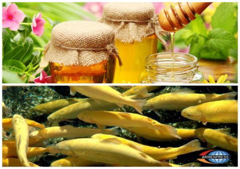 Government intends promoting fish and honey export to EU market