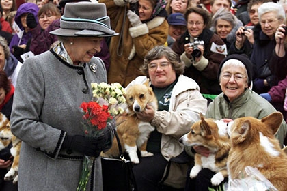 Queen Elizabeth won’t get new dogs as she is worried about tripping over them and injuring herself