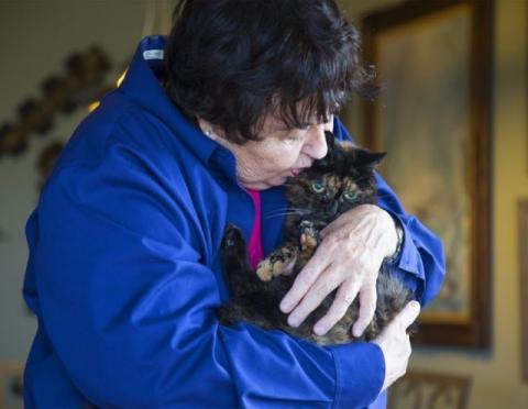 Oldest cat living: Tiffany Two from California claims world record