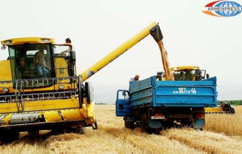 В селе Цовак на 5% прибавится площадь обрабатываемых земель
