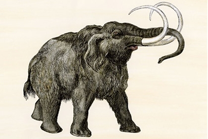 Science close to creating a mammoth