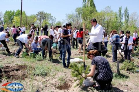 В Котайке пройдет символическая весенняя посадка деревьев