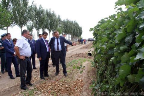 Արմեն Երիցյանն աշխատանքային այցով եղել է Արմավիրի մարզում 