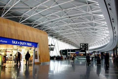 СМИ: в аэропорту Цюриха задержаны три китайца с 262 кг слоновой кости