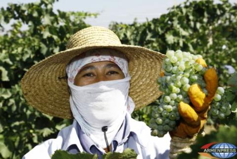 190 farming groups submit application to participate in sustainable rural development competition