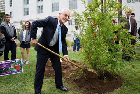 100 pomegranate trees were planted in memory of Armenian Genocide victims in Los Angeles