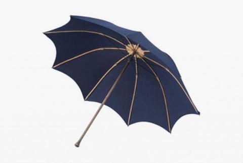 Japanese designers create umbrella worth 8,000 US dollars