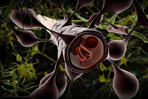 Chemotherapy drugs broke the blood-brain barrier for the first time