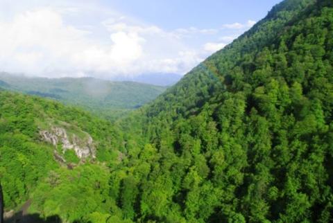 Ծովակի եւ Արեգունու անտառներում կիրականացվեն լրացման, փոխարինման եւ խնամքի աշխատանքներ