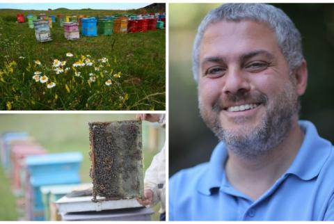 The enthusiast of Armenian honey-making - George Tabakian’s story
