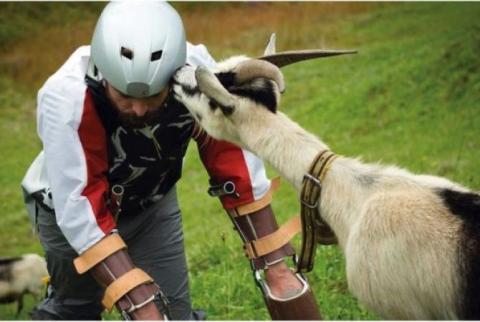 Ig Nobel win for Alpine 'goat man'