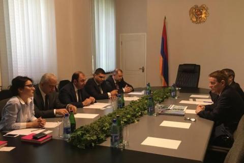 Armenian and Irish aviation officials discuss cooperation in Yerevan