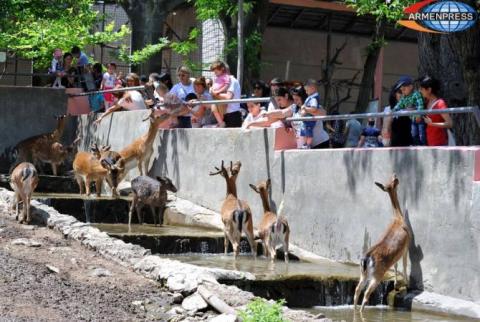 Yerevan Zoo to be fenced
