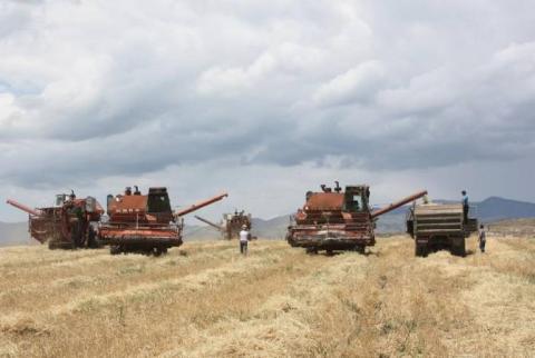Արցախի Քաշաթաղի շրջանում սկսվել է գարու բերքահավաքը