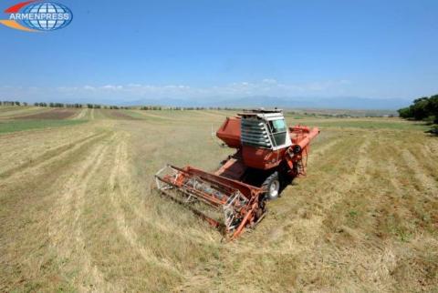 Արցախում մինչև հունիսի 26-ը բերքահավաքի արդյունքում ստացվել է 416 հազար 572 ցենտներ փաստացի հավաքված բերք