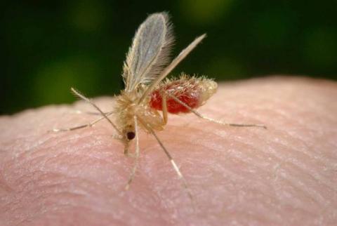 Armenia is malaria, polio, measles and congenital rubella free