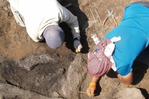 Excavations in Urartu era fortress-castle in Solak archaeological site make new discoveries