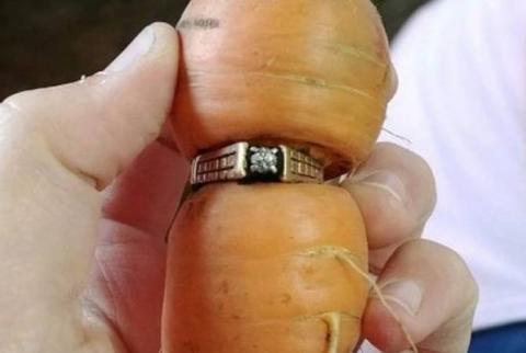 Потерянное обручальное кольцо нашлось на морковке 13 лет спустя