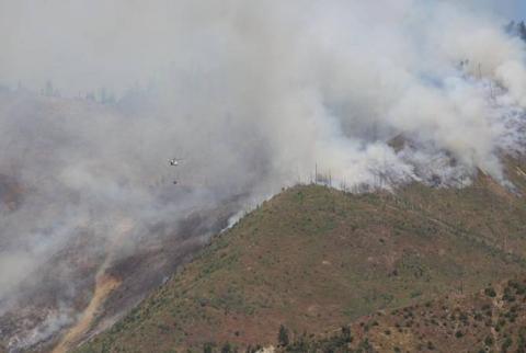 Пожар в Боржомском лесу: последние новости