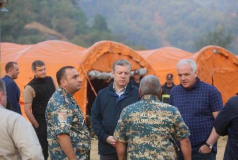 Georgian PM thanks Armenia for assisting firefighting operations in Borjomi Gorge