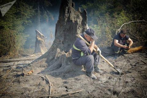 Погибший лес: фото последствий пожара в Боржоми