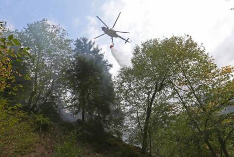 Пожар в Боржомском ущелье Грузии полностью ликвидирован