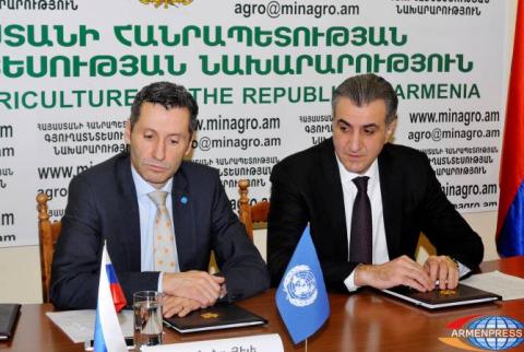 ՍԱՊԾ-ը մոնիթորինգ է անցկացնում հայաստանյան շուկայում պլաստիկ բրնձի առկայության ահազանգով