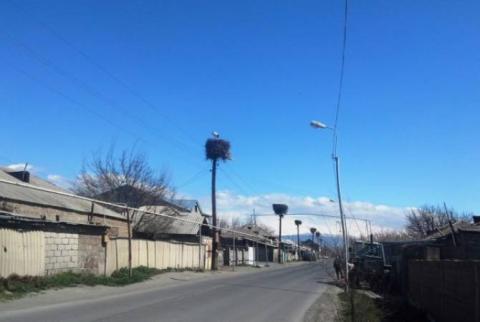 Հայանիստն օր օրի նորանում է