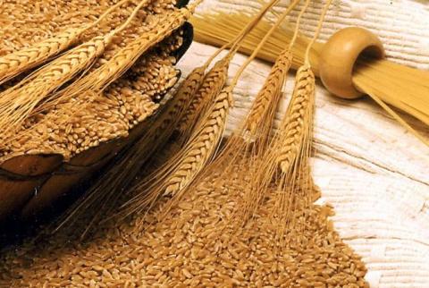 Businesses in wheat, flour market increase, centralization reduced 