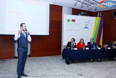 Brazilian businessmen offered to enter Russian and Iranian markets via Armenia 