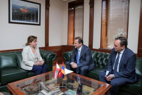 Պաշտպանության բնագավառում հայ-լիբանանյան համագործակցությունը կզարգանա. Տոնոյանն ընդունել է Լիբանանի դեսպանին