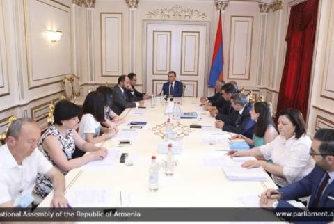 Արա Բաբլոյանը հաշմանդամություն ունեցող երեխաների խնդիրների թեմայով աշխատանքային խորհրդակցություն է անցկացրել