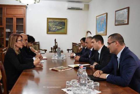 Արցախի պետնախարարը Մանե Թանդիլյանի հետ քննարկել է կենսաթոշակային համակարգի զարգացման հարցը
