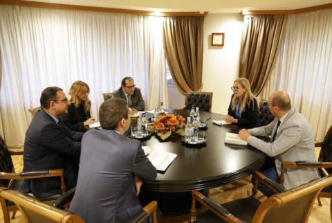Acting minister of economic development and investments meets with World Bank Country Manager for Armenia
