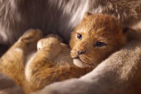 Трейлер нового «Короля Льва» побил рекорд по просмотрам