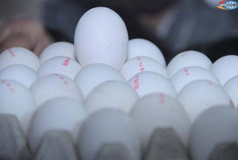Imported chicken eggs under border scrutiny for safety precautions 