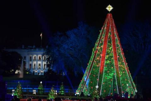 Trump lights National Christmas Tree outside White House 