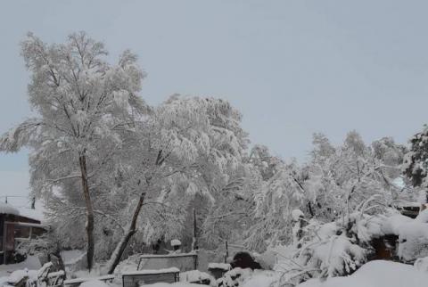 Residents of small village in Armenia’s north-west wake up to spectacular 30cm snow 