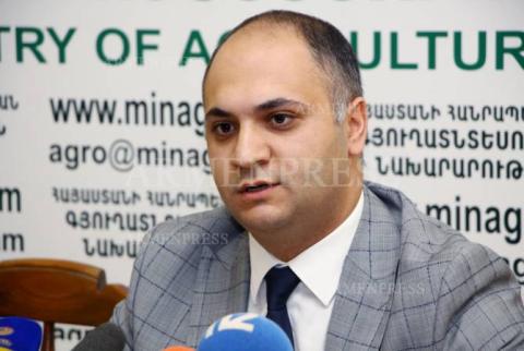 Գյուղոլորտում ներդրվել է ինստիտուցիոնալ բարեփոխումների նոր ռազմավարություն. Գևորգյանը ներկայացնում է կատարված փոփոխությունները