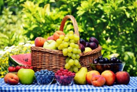 Un homme d’affaire arménien envisage une éventuelle exportation des fruits arméniens en Bulgarie